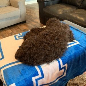 Meet your Posher, Jacki